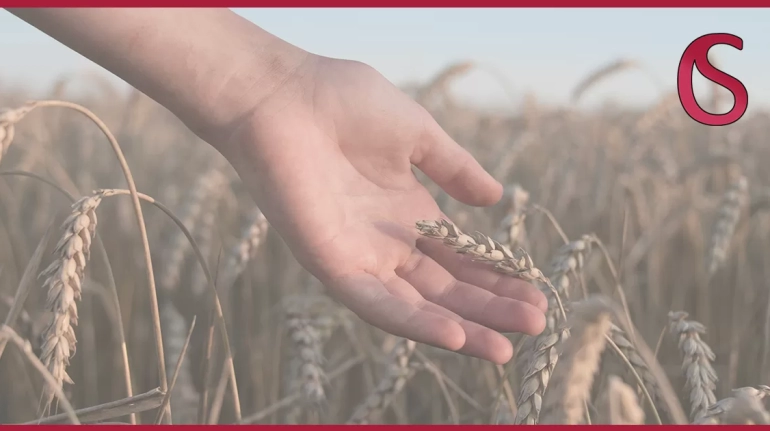 Finanziamenti PMI agroalimentare