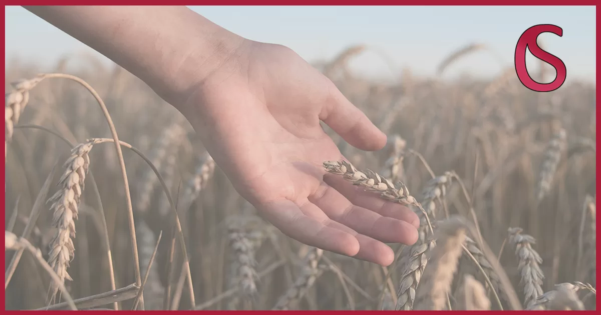 Finanziamenti PMI agroalimentare