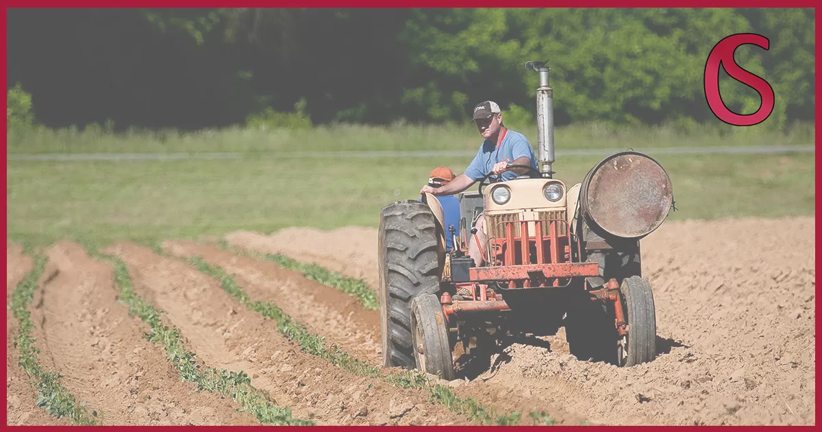 Incentivi Agricoltura